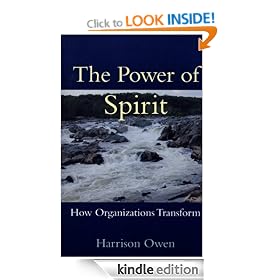 The Power of Spirit: How Organizations Transform: How Organisations Transform