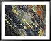 A Close View of Crustose Lichens Growing on Tombstone Slate National Geographic Colle...