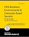 CPA Business Environment & Concepts Exam Secrets Study Guide: CPA Test Review for the...