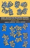 Model Selection and Multimodel Inference
