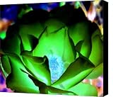 Green Glow Canvas Print / Canvas Art   Artist Will Borden