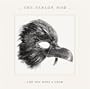 And You Were A Crow