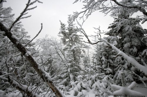 Peaceful Winter Scene in the Adirondacks by Brendan Reals