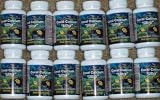 12 Bottles of Coral Calcium Ultra - 1 Years Supply - 90 Capsules Per Bottle