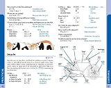 picture of Mandarin Phrasebook
