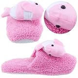 Pink Fish Slippers for Ladies