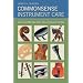 Commonsense Instrument Care: How to Look After Your Violin, Viola or Cello, and Bow (Strings Guide)
