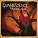 Together Again MP3 Download By Evanescence Together Again