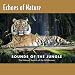 Echo Sound-Echoes of Nature: Sounds Of The Jungle