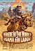 Where in the World is Osama Bin Laden? 11x17 Poster