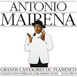 Great Masters of Flamenco Vol.9
