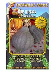 Lawn & Patio: Everwilde Farms - Blue Hubbard Winter Squash Seeds - Jumbo Seed Packet (40) - Everwilde Farms