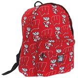 University of Wisconsin Logo UW Badgers Backpack Bag SMALLER than Huge Cumbersome Full-Size Packs- WATERPROOF LINING