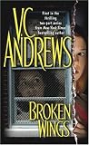 Broken Wings
