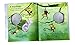 The Margaret Wise Brown Treasury