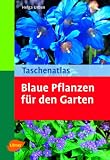 Taschenatlas Blaue Pflanzen f&uuml;r den Garten - Helga Urban