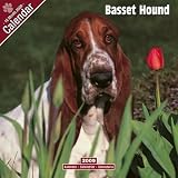 Eigenschaften Avonside Publishing Ltd.  / Kalender 2009 Basset Hound
