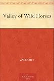 Valley of Wild Horses
