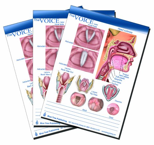 Voice and Larynx Tear Off Tablet-50 Sheets Per Tablet-3 Tablets Per Package-8 1/4