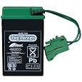 Peg Perego 6 Volt Replacement Battery for Peg Perego Vehicles