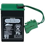 Peg Perego 6 Volt Replacement Battery for Peg Perego Vehicles