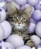 Kitchen & Housewares : Rachael Hale Elvis Kitten Fleece Throw Blanket