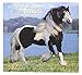 2015 Wall Calendar - 16 Month Horses Design