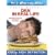 Dan in Real Life [Blu-ray]