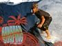 Quiksilver Vintage Surf Auction