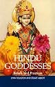 Hindu Goddesses: Beliefs and Practices (The Sussex Library of Religious Beliefs and Practices)