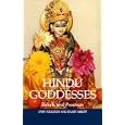 Hindu Goddesses: Beliefs and Practices (The Sussex Library of Religious Beliefs and Practices) by Lynn Foulston and Stuart Abbott
