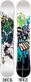 SALOMON�y�T�������z�X�m�[�{�[�h RIOT