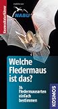 Welche Fledermaus ist das?: 34 Fledermausarten einfach bestimmen - Klaus Richarz