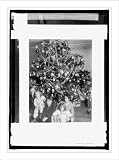 Historic Print (S): Raymond Dickey, Christmas tree, 1915