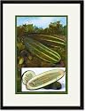 Black Framed/Matted Print 17x23, Cucumbers