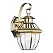 Sea Gull Lighting 8037-02 Lancaster One-Light Outdoor Wall Lantern with Clear Curved Beveled Glass Panels, Polished Brass Finish