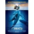 Big Miracle