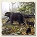Highland Graphics-BLACK BEAR FAMILY Tumbled Tile Trivet