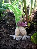 Knitted Toy Onions