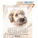Kennel Design Essential Guide to Creatin