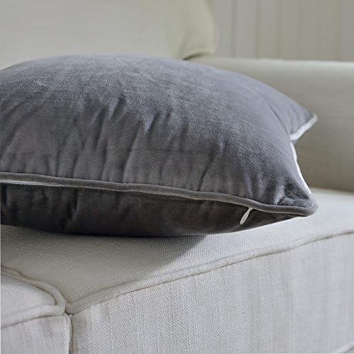 Sanmetex Luxury 100% Polyester Velvet Throw Pillow Covers Soft Pillowcase Home Decorative Throw Cushion Cover, Cushion Cover for Sofa18x18-inch, Sliver