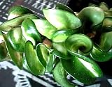 Variegated Hindu Rope Hanging Basket - EXOTIC