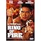 B-Movie Dragon: The Films of Gary Daniels