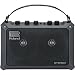 Roland Mobilecube Battery Powered Stereo Musical Instrument Amp
