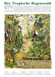 Schreiber Naturtafeln, Der Tropische Regenwald