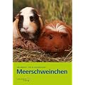 Meerschweinchen
