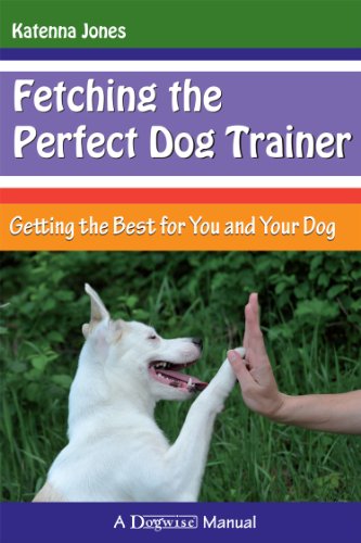 Fetching the Perfect Dog Trainer - Getting the Best for You and Your Dog
