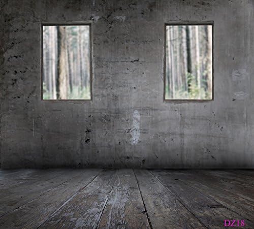 LB 10x10ft Window on the Wall Poly Fabric Studio Backdrop CP Photography Prop Photo Background DZ18
