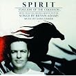 Spirit: Stallion Of The Cimarron