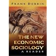 The New Economic Sociology: A Reader by  Frank Dobbin